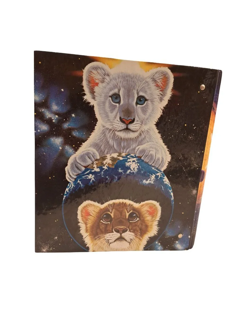 Vintage Mead Schim Schimmel 3 Ring Binder Lion Cubs Space Whales 1998 RARE
